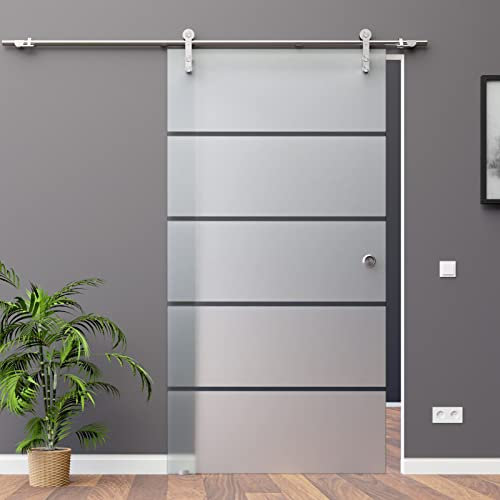 BP1-900A-2: Schiebetürsystem ESG 900x2175x8mm Dekor P1, Siebdruck; Edelstahl Laufrollensystem SoftStop; Griffmuschel