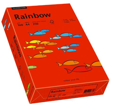 Papyrus 88042483 Drucker-/Kopierpapier bunt, Bastelpapier Rainbow: 160 g/m², A4, 250 Blatt, Matt, intensivrot