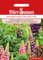 Dürr Samen 0754 Staudenlupine Russell Mix (Staudenlupinensamen)