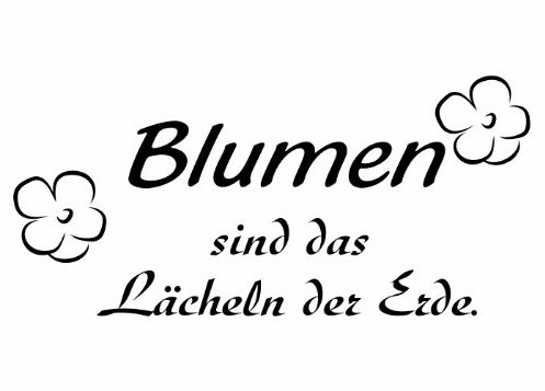 Wandtattooladen Wandtattoo - Blumen sind das Lächeln der Erde Größe:120x56cm Farbe: Schablone