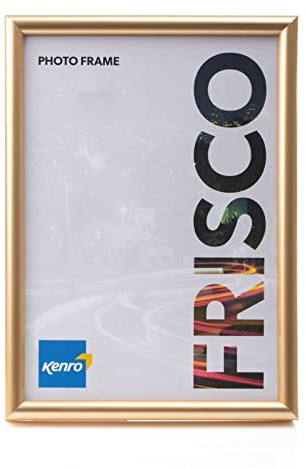 Kenro Frisco Plastic Picture Frames (Box of 1) - 10x12 Inch / 25x30cm Wall Hanging Stylish Photo Frame with Glass Front - Gold