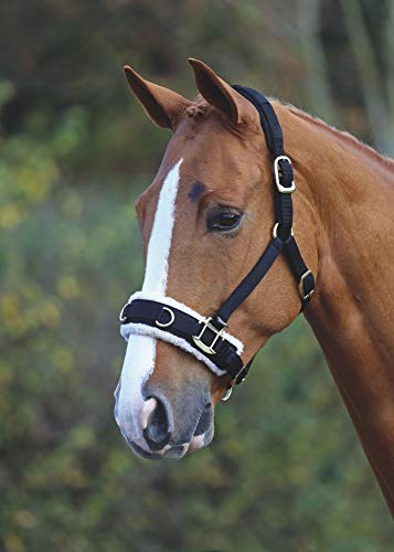 Shires Fleece Lined Lunge Cavesson - Padded Nylon Training Cavesson for Horses - Multiple Sizes Black/Pony