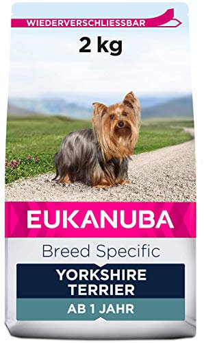 Eukanuba Breed Specific Yorkshire Terrier Trockenfutter - optimal auf die Rasse abgestimmtes Premium Hundefutter mit Huhn, 2 kg