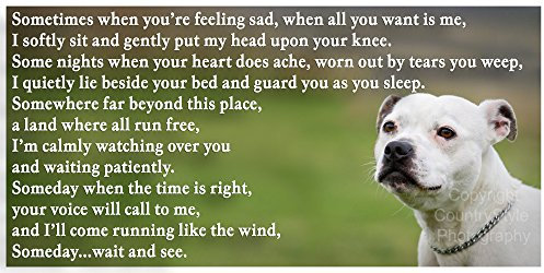 Staffordshire Bull Terrier White Staffy bereavement pet dog loss memorial Flexible Fridge Magnet memorial - Someday