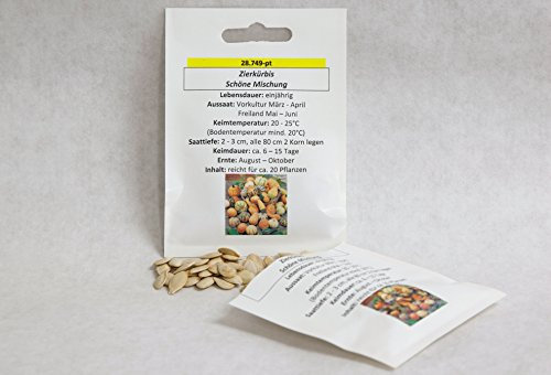 Zierkürbis Schöne Mischung Kürbissaat für ca. 20 Pflanzen kleine Kürbisse herbstliche Dekoration