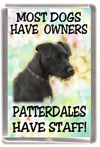 Patterdale Terrier Dog Fridge Magnet Most Dogs Have Owners PATTERDALES Have Staff
