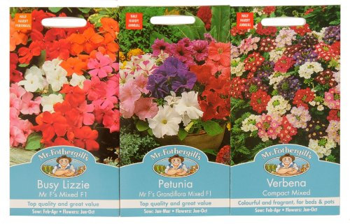 Mr Fothergill's Seeds Hanging Basket Flowers Collection