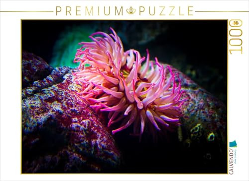 CALVENDO Puzzle EIN Motiv aus dem Kalender Die Farben der Ozeanwelt | 1000 Teile Lege-Größe 64 x 48 cm Foto-Puzzle für glückliche Stunden