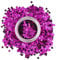 Cosmetic Glitter Stars for use on the face - Purple