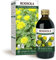 Dr Giorgini Integratore Alimentare, Rodiola Estratto Integrale Liquido Analcoolico - 200 ml