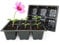 Elixir Gardens 50 x 6 Cell Reusable Seedling Germination Starter Bedding Plant Pack Inserts for Half Size Tray Propagator