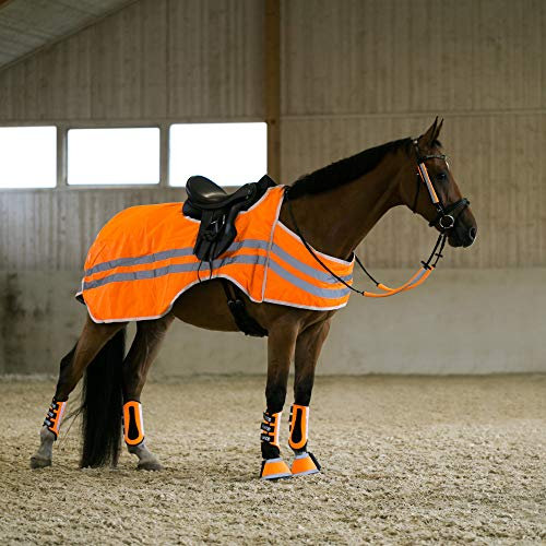 HORZE bZeen reflektierende Ausreitdecke, Orange, 125