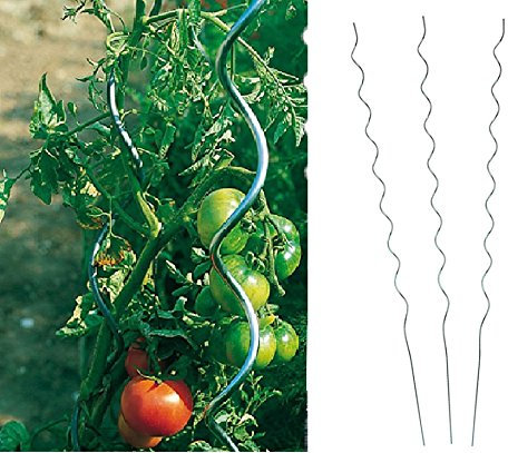 Benelando® Tomaten-Spiralstab 180cm Stahl verzinkt - 2. Wahl (3)