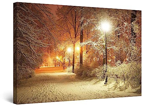Startonight Impression Sur Toile Parc d'Hiver, Tableau Paysage- Decoration Murale Salon Moderne - Image sur Toile - Grande 80 x 120 cm Idée Cadeau Élégante et Originale Effet Lumineux Nocturne