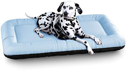Knuffelwuff Wasserfestes In und Outdoor Hundebett Lucky Color Edition aus Nylongewebe XXL 120 x 85cm Blau - abnehmbarer Bezug - waschbar - für große, mittelgroße und kleine Hunde