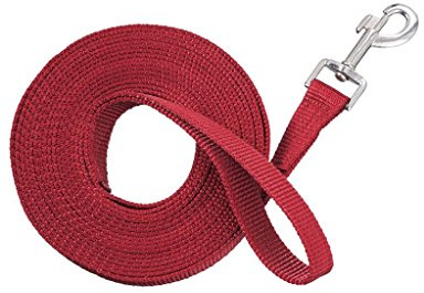 Tough 1 Nylon Web Lunge Line, Red, 1 x 20'