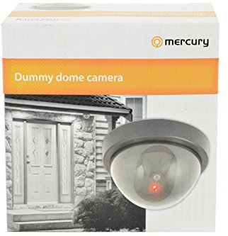 Mercury Dummy Dome Camera With Flashing Led