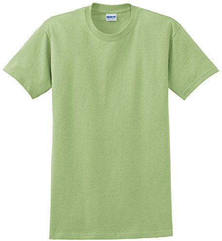 Gildan Mens Ultra Cotton Short Sleeve T-Shirt (L) (Pistachio)