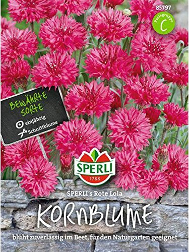 Kornblume SPERLING´s Rote Lola