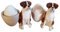 Hunde Eierbecher Hund Boxer Hund 2 teiliges Set Eierbecher Keramik Set 2 STK