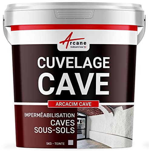 Enduit de cuvelage, hydrofuge, etanchéité cave, garage, sous-sols | Arcacim cave - 5 kg Gris - ARCANE INDUSTRIES