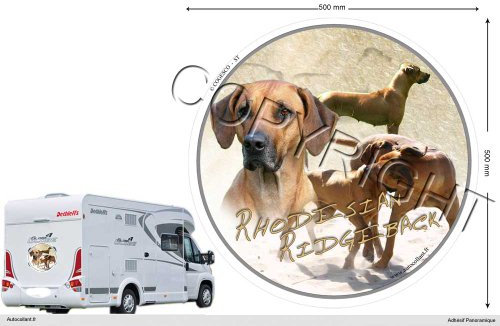Pets-easy Circular Aufkleber Hund 50 cm Rhodesian Ridgeback