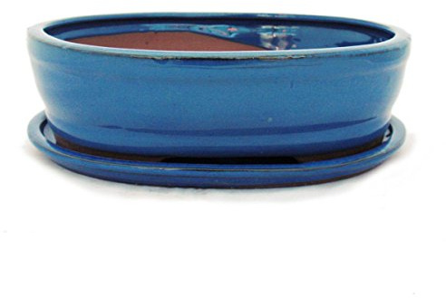 Bonsai pot avec soucoupes - 4 bleu taille o7 modèle ovale-longueur 26 cm-b 21 cm-hauteur : 7,5 cm