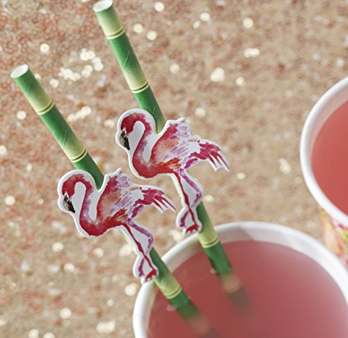 Ginger Ray Lot de 20 pailles décoratives en papier motif flamant rose et bambou
