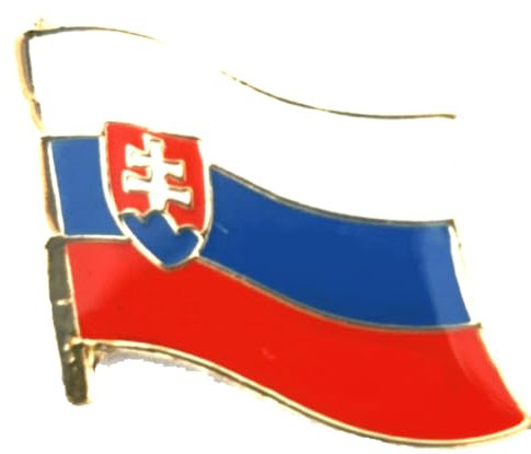 Buddel-Bini Versand Pin Anstecker Flagge Fahne Slowakei Nationalflagge Flaggenpin Badge Button Flaggen Clip Anstecknadel