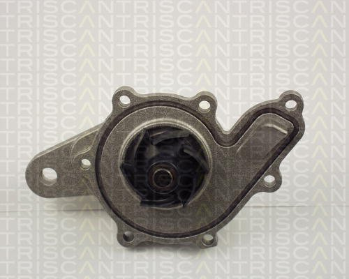 Triscan 8600 10014 Wasserpumpe