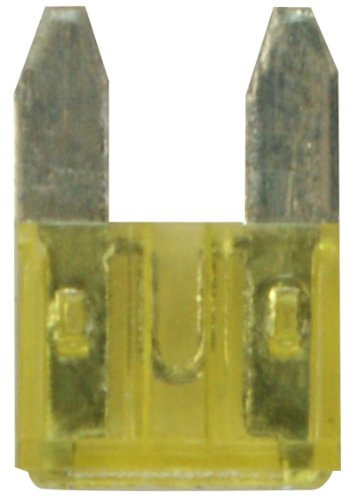 Cora 000120700 Lot de 100 micro fusibles lamellaires 20 A