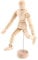Yosoo Gliederpuppen 4,5Künstler Männlichen Holzfigur Modell mit Beweglichen Gliedmaßen für Skizzieren Zeichenhilfe Mannequin Puppe (4,5)
