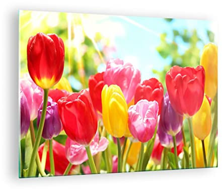 Bilder auf Glas Tulpe Blume Garten Plantage Glasbild 70x50cm Wandbilder Dekoration Wohnzimmer Schlafzimmer Küche Deko Klein Wanddeko Bild im Glas Wand Kunstdruck Art Modern Wall Decor GAA70x50-2466