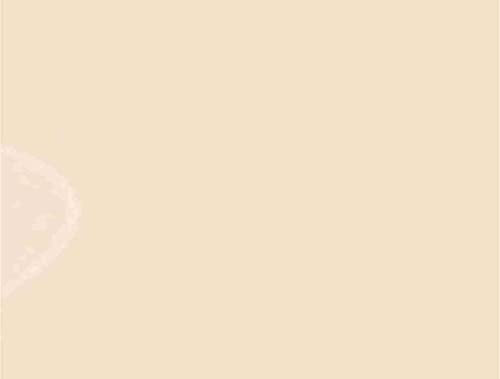 Kopierpapier 80g A6 farbig, Pastellfarben 2000 Blatt, Farbe:creme