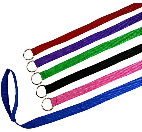 Downtown Pet Supply 6 Foot Slip Lead, Slip Leads, Kennel Leads with O Ring for Dog Pet Animal Control Grooming, Shelter, Rescues, Vet, Veterinarian, Doggy Daycare (24 Pack, Colors: Various)