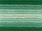 Anchor Sticktwist 1x Farbe: 1213 - Verlauffarben grün