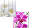 Mendler Foto-Paravent Paravent Raumteiler Trennwand M68-180x160cm, Orchidee