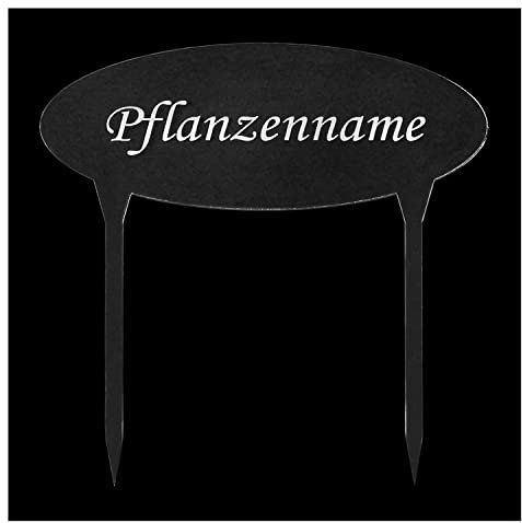 Bütic GmbH Acrylglas Pflanzschilder Oval XXL farblos +Wunschname Kräuterschilder, Pflanzenname:Lilien