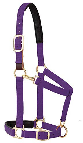 Weaver Leather Gepolstertes Halfter für Kinn und Hals, verstellbar, 2,5 cm durchschnittlicher Zugluft für Pferd oder Jährling, Violett