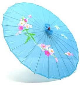 Markenlos Asia Schirm Dekoschirm Fengshui Stoff 02