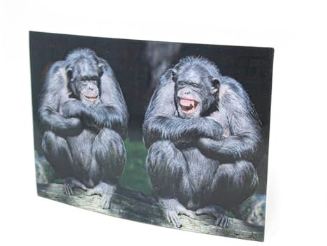 3 D Ansichtskarte Schimpansen, Postkarte Wackelkarte Hologrammkarte Tier Affen