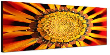 Augenblicke Wandbilder Keilrahmenbild Wandbild 150x50cm Blume Blüte Nahaufnahme gelb braun rot