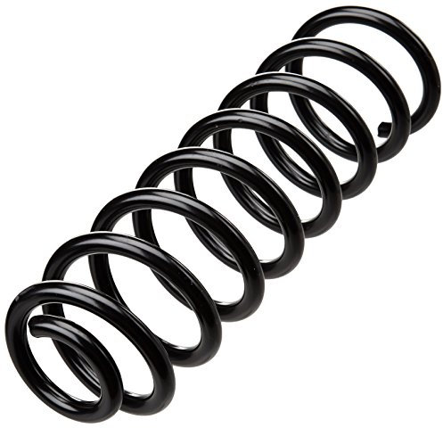 lesjofers 4272931 Coil Spring Rear