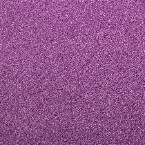 Clairefontaine 93876C Packung (mit 25 Bögen Zeichenpapier Etival Color, DIN A4, 21 x 29,7 cm, 160g, gekörnt, ideal für Trockentechnik und Einrahmen) violett