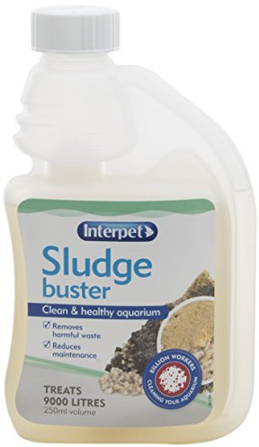 Interpet Sludge Buster Aquarium Treatment, 250 ml, Removes Harmful Waste, Reduces Maintenance, Fast Acting Beneficial Bacteria