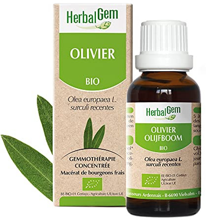 HERBALGEM - Macérât-Mère - Olivier Bio - Complément Alimentaire Gemmothérapie Concentrée - Extrait De Bourgeon Frais - Pour Circulation Sanguine - 30 ml