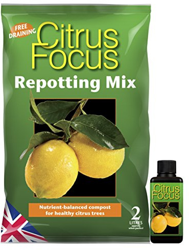 Citrus Focus repotting Mix 2 Litre Bag & Citrus Focus 100ml Feed