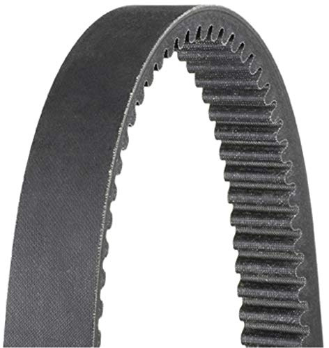 Dayco HP3005 Hp Drive Belt, black