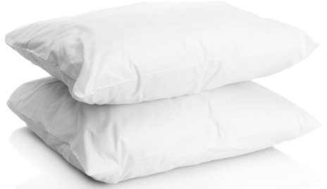 SleepyNights Love2Sleep 2 SOFT SUPPORT PILLOWS (2 PILLOWS)