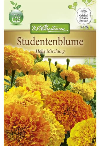 Chrestensen Studentenblume 'Hohe Mischung'